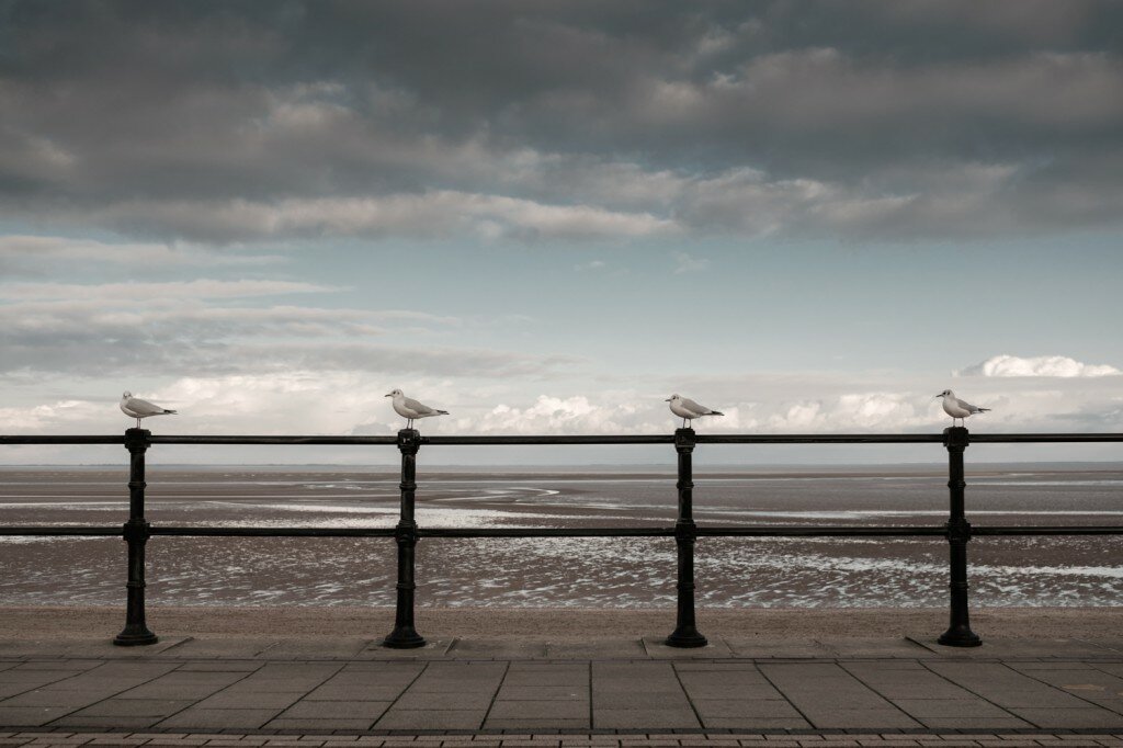 Photography by Dave Kai Piper -