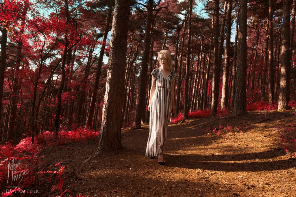 Image by Dave Kai Piper_DSF0245-Edit-