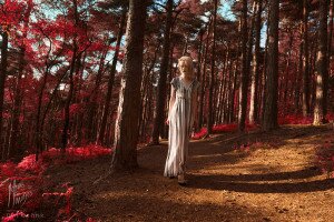 Image by Dave Kai Piper_DSF0245-Edit-